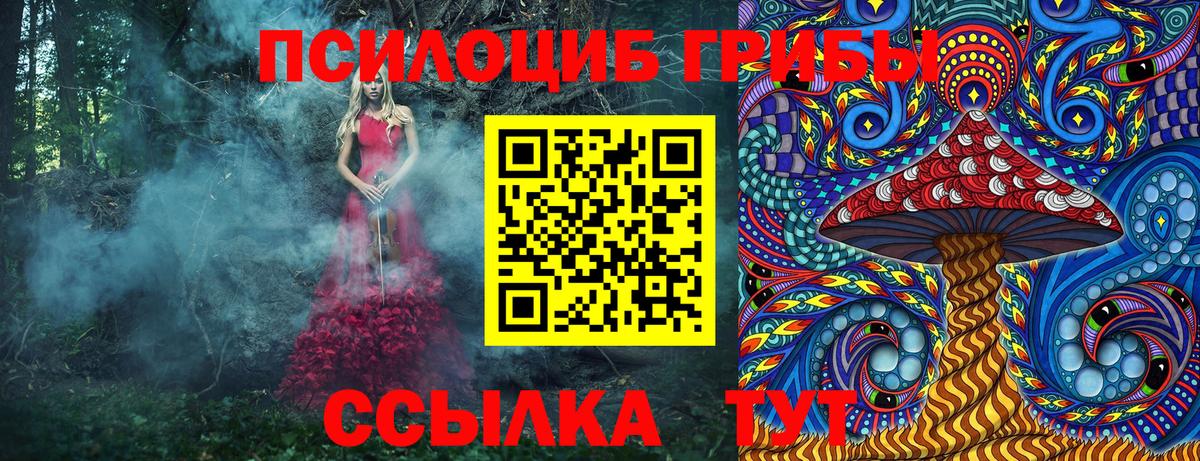 Галлюциногенные грибы Psilocybe Железногорск